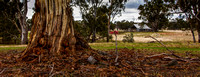 Aussie farmland panorama